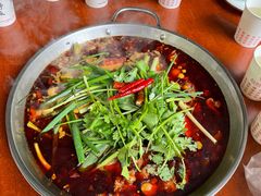 -香霸头跑山鸡