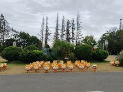 -上海长兴岛郊野公园