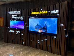 -武商摩尔影城(国广IMAX激光店)