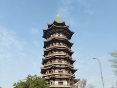 -洋湖国家湿地公园