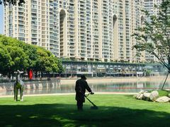 -西北湖绿化广场