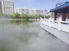 -雁滩公园