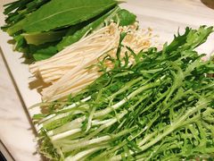 -汤城·料青山