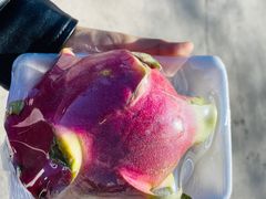 -T11生鲜超市(朝阳公园店)