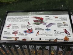 -阿哈湖国家湿地公园