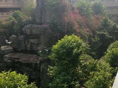 android_upload_pic-肇庆奥威斯酒店