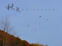 -横道河子东北虎林园