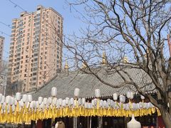 -护国法轮寺