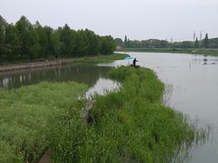 -大莲湖农家乐(青西郊野公园店)