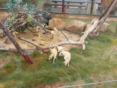 -灵玲国际马戏城