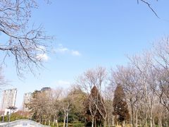 -蠡湖大桥公园