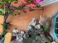 -巢爷老味(东方红店)