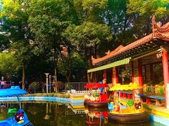 -水果湖儿童公园