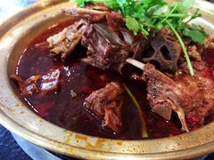 -友乐居羊蝎子(西直门店)