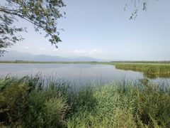 -野鸭湖国家湿地公园