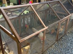 -HERRE·FARM 赫尔露营农场·团建聚会包场