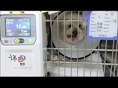 -美联众合动物医院·24h转诊中心