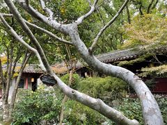 -天一阁博物院