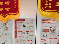 -中农国际动物医院24小时·猫科·骨科·急重症中心
