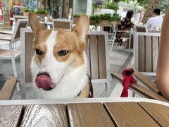 -Bistro 63 创意融合料理(广粤天地店)