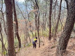-句容茅山景区