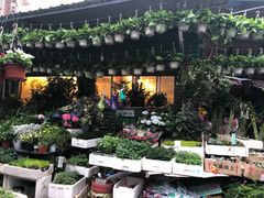 -曲阳花鸟市场(曲阳路店)