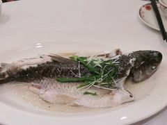 -稻香酒家·35年老字号(侨光店)