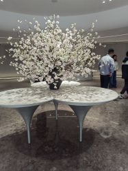 -广州美莱医疗美容医院