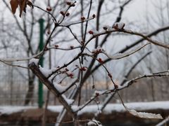 -北京西山国家森林公园