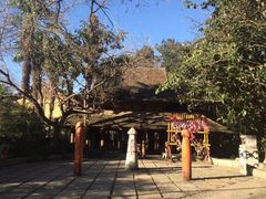 -云南民族村
