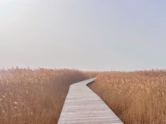 -野鸭湖国家湿地公园