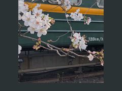 -新天地活力PARK