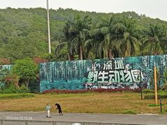 -深圳野生动物园