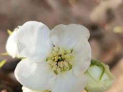 -天津东丽湖风景区