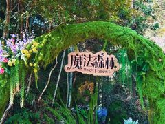 -龙湾潭国家森林公园
