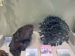 -广东中医药博物馆