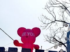 -京北渔家傲