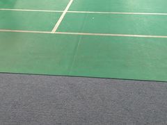 -阳光羽毛球馆(马家龙店)