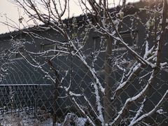-美联众合动物医院·内科·皮肤科·外科(古城分院)