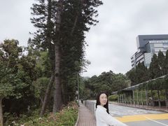 -大埔公路-马料水段香港中文大学(公交站)