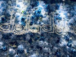 -doladola(徐家汇店)