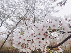 -永和大王(万顺路店)