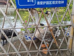 -厦门园林博览苑