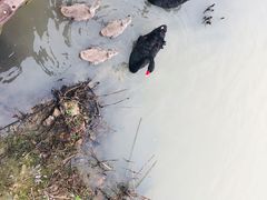 -长兴太湖图影湿地文化园