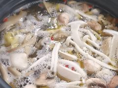 -百菇园野生菌煲(平武店)