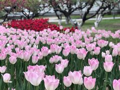 -朝阳公园