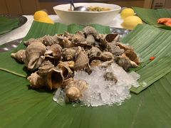 -北京王府井希尔顿酒店·万斯阁西餐厅