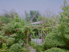 -小仙居·农家宴烤羊· 农庄