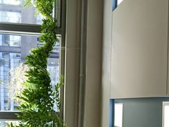 -精德口腔·种植修复·儿牙中心(财富中心店)