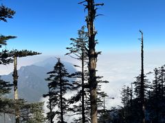 -瓦屋山景区